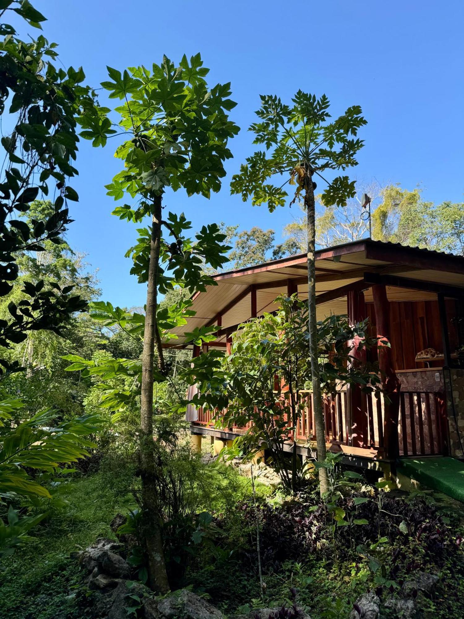 Brigitte'S Ranch Hotel Cahuita Buitenkant foto